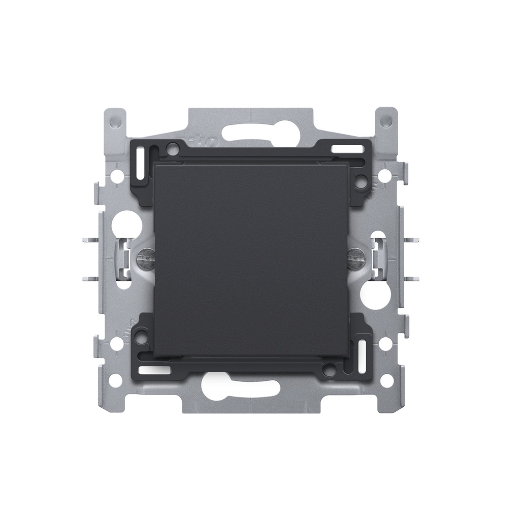 PLAAT BLIND INTENSE ANTHR