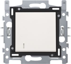 SCHAKELAAR CONTROLE 2P WHITE