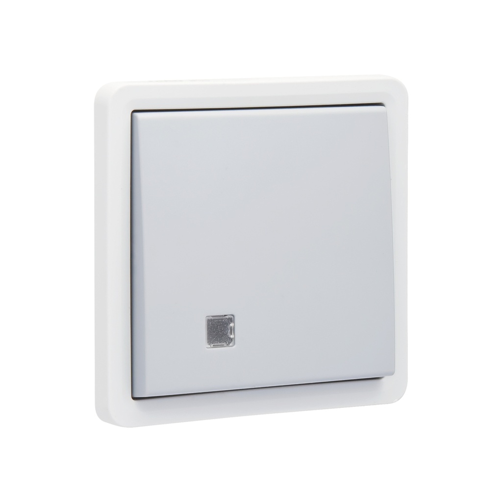 NEW HYDRO SCHAKELAAR 2P CONTROLE