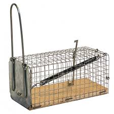 LUCIFER MUIZENKORF 1 DEUR