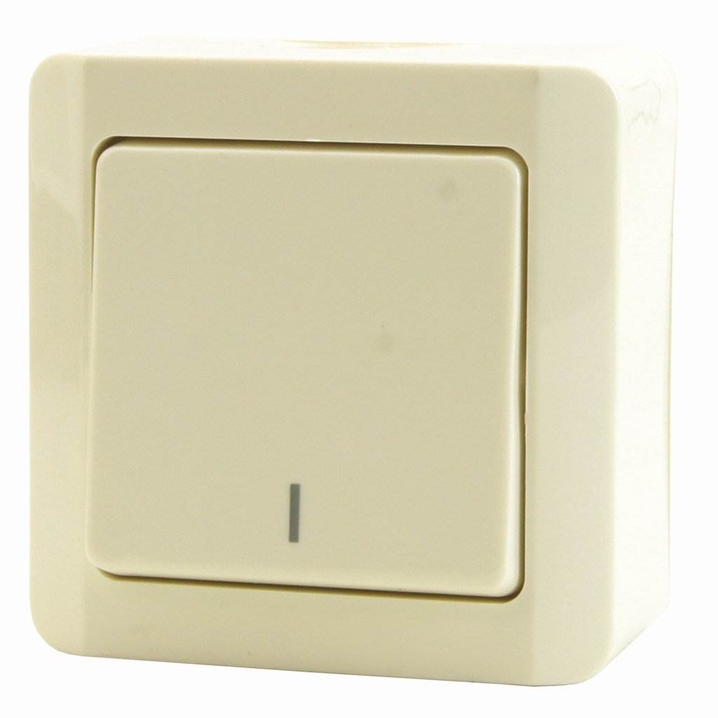 OPBOUW SCHAKELAAR 2P WIT