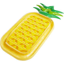 ANANAS AIR MATRAS - DIDAK