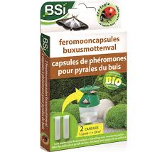 BSI 2 NAVULLINGEN FERMOMOONVALLEN BUXUSMOT