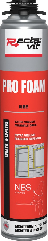 RECTAVIT PROF. PISTOOLSCHUIM - 800ML