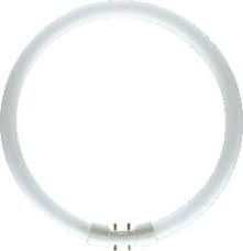 TL-LAMP T5 CIRC 22W 230MM CW