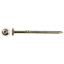 PFS FLENSKOPHOUTSCHR. T40 Ø8X100 A2 - 50ST