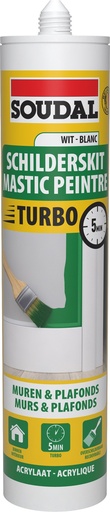 [36908] SOUDAL ACRYLAAT SCHILDERSKIT EXTER 10 WIT - 310ML