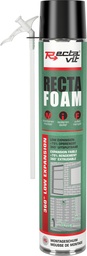 [11179] RVIT - RECTAFOAM MANUEEL 800ML