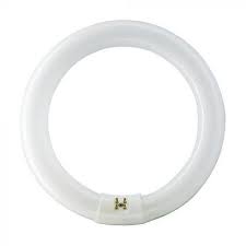[46459] TL_LAMP T8 CIRCL 40W 409MM CW