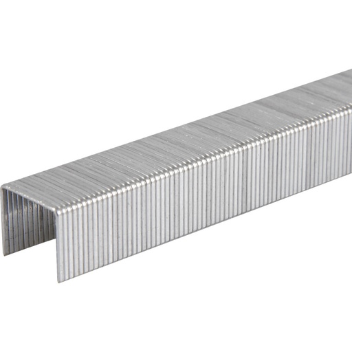 [49485] NIETEN L 6MM 5000 STUKS IN DOOS IR140207