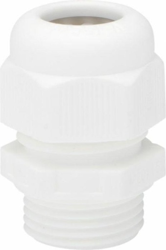 [86200] Profile wartel wit M20 (2st)