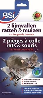 [96759] Lijmval tegen muizen en ratten (2st)