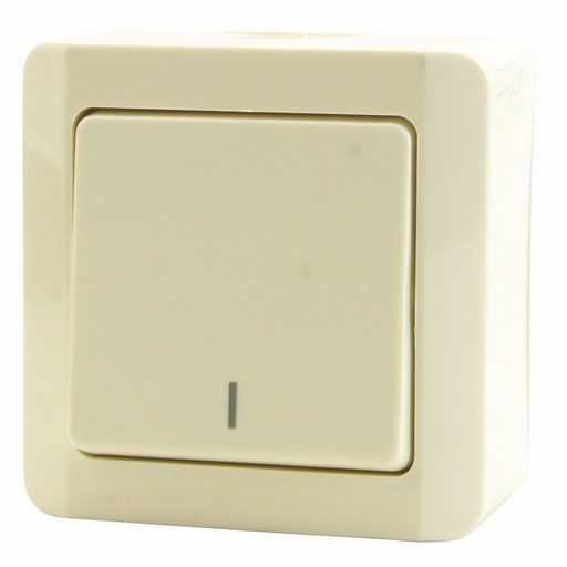 [68449] OPBOUW SCHAKELAAR 2P WIT
