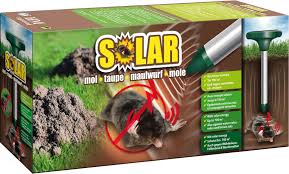 [71172] SOLAR MOL 700M²