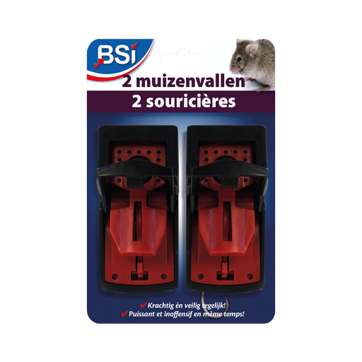 [71966] MUIZENVAL 2ST