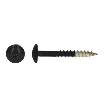 [79582] HPL SCHROEF TX20 4.8X38 R9005 A4 - 100ST